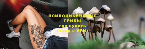 соль ск Алексин
