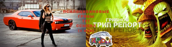 соль ск Алексин